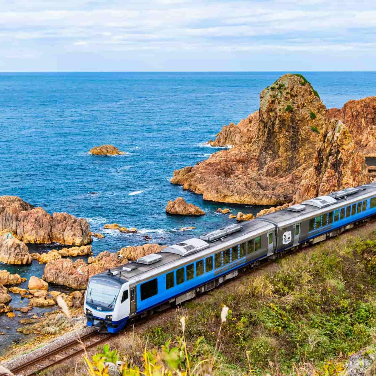 Placeholder for Gono Line Image