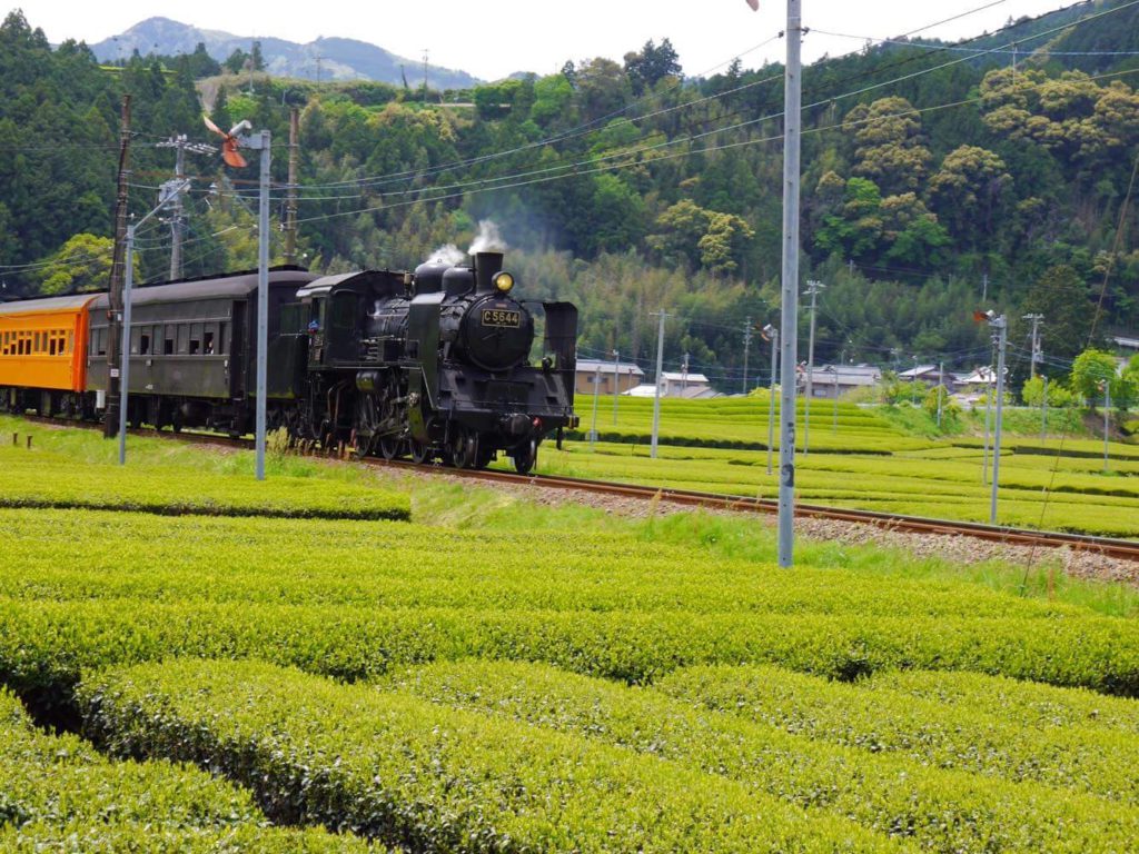 Placeholder for Oigawa Railway Image