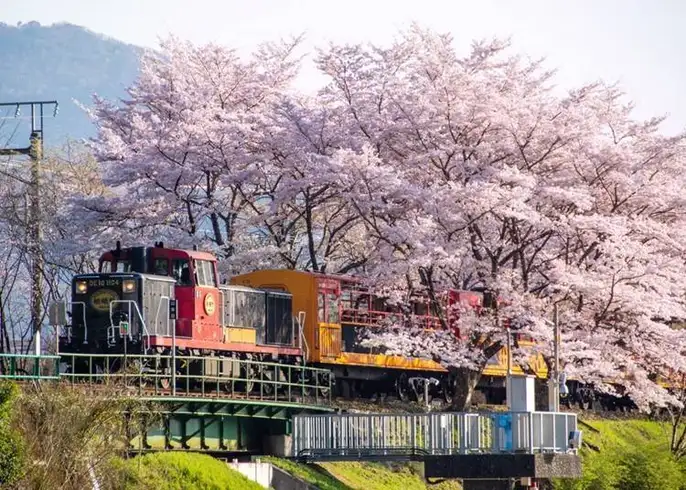 Placeholder for Scenic Train Image