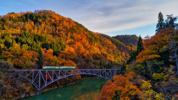 Placeholder for Tadami Line Image
