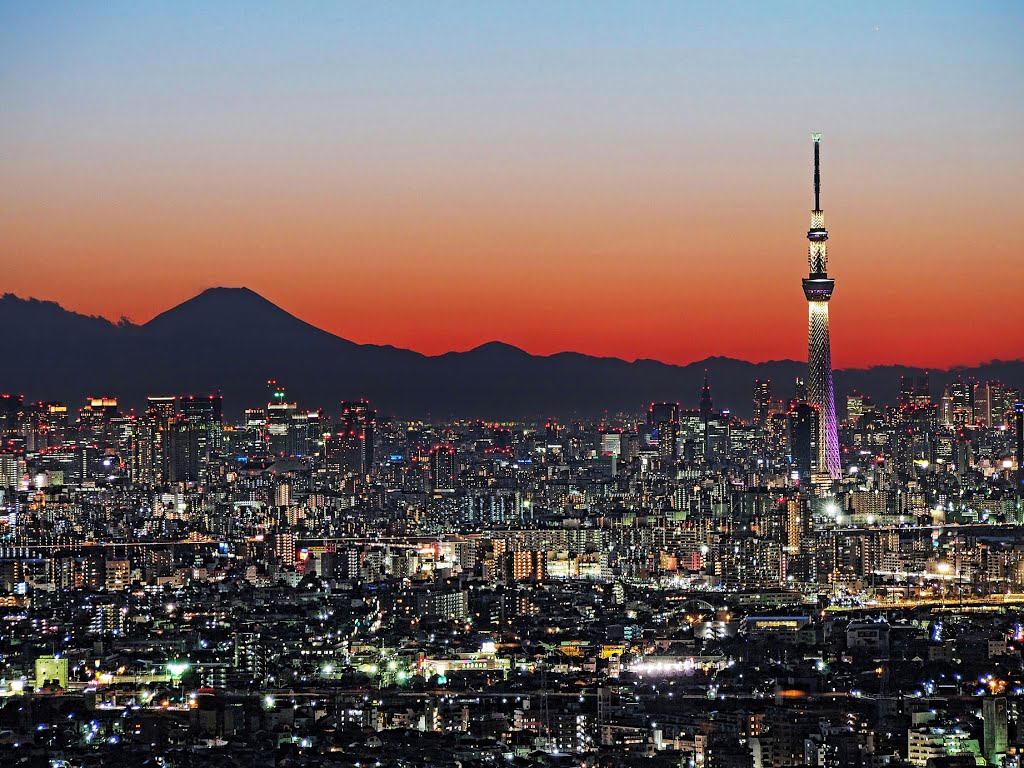 Placeholder for Skytree Sunset